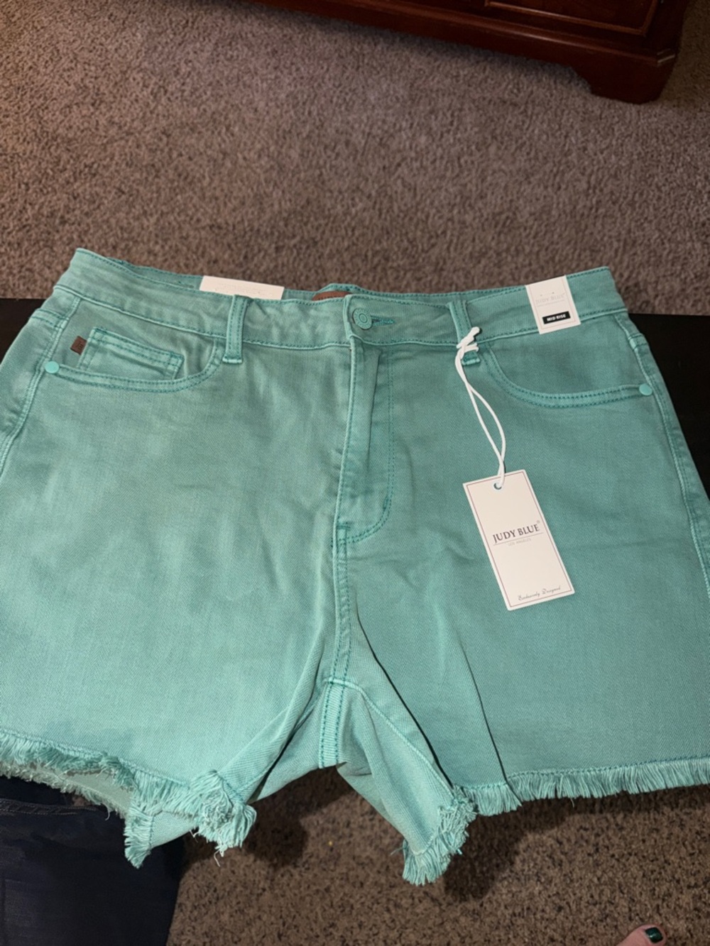 Judy Blue Sea Green Frayed Hem Denim Shorts NEW